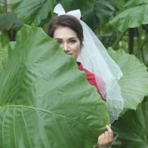 Stak SP profile icon