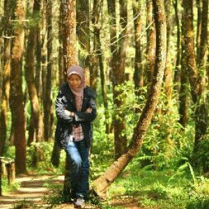 Erlinda Kusumahati N profile icon