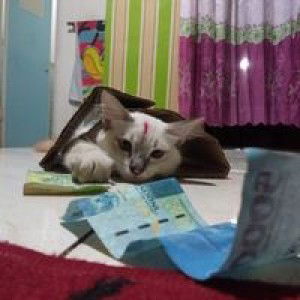 Hidah Azhary profile icon