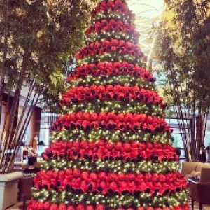 Tiffy K profile icon