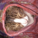 rizky fitriani profile icon