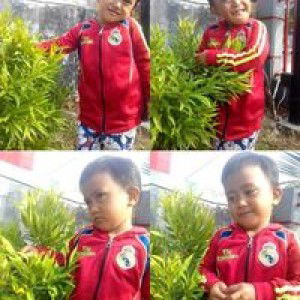 Meriyana Harahap profile icon