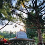 Diane Abergas-Paco profile icon