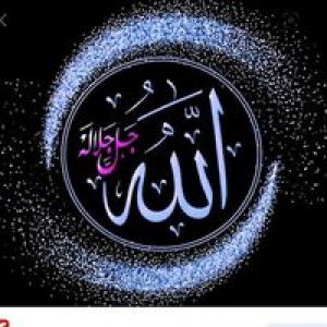 Dita Aldawiyah Nasution profile icon