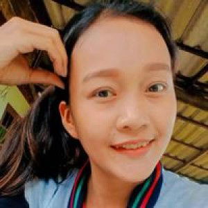 Disaraphon'n Sonphuang'g profile icon