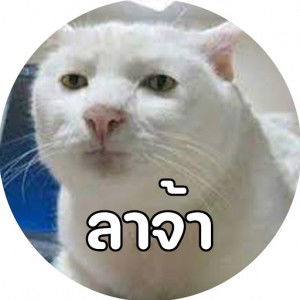 Nanticha Teetong profile icon