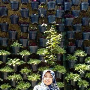 Hanifan isyiana profile icon