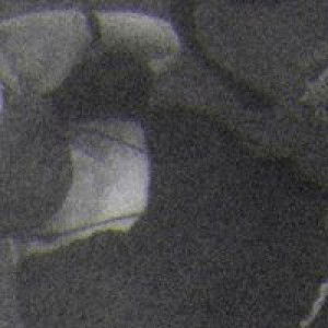 เกวลิน นฯ. profile icon