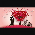 Noor Sabeeya profile icon