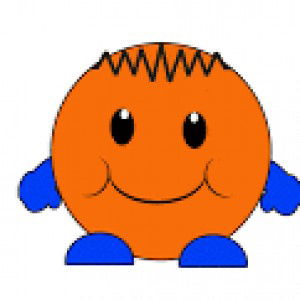 Anis Kurnia Dewi profile icon