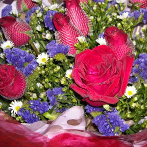 eyqa aaron profile icon