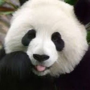 Annisa Nurlailla profile icon