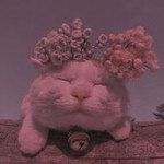 Nor Erika profile icon