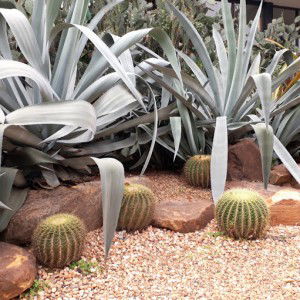 thoongngoen juksusila profile icon