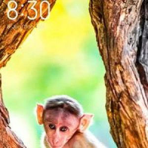 Bea Mendoza profile icon