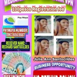 Julie Ann Santocilde profile icon