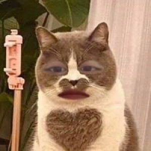 เอาซอสมา ซีอิ๊วมา' profile icon