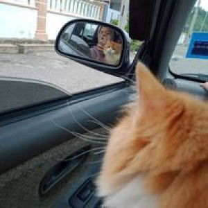 Jiha Wahab profile icon