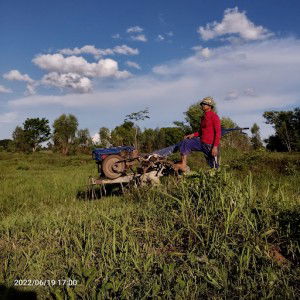 Tnadol Onsuratoom profile icon