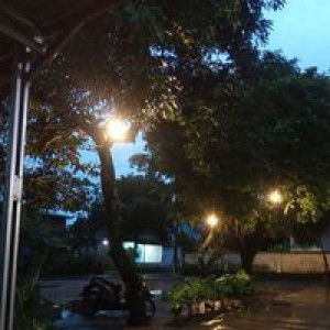 Elsaniya profile icon