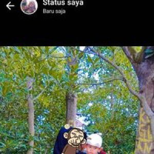 Siska Ahmad profile icon