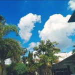 K'Niia Fauzia profile icon