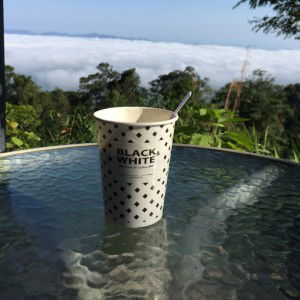 Chompoo profile icon