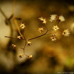 The Episode Episode profile icon