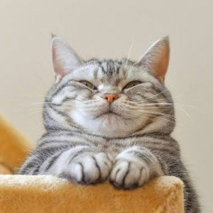 CHUTIKAN THUNGWICHA profile icon