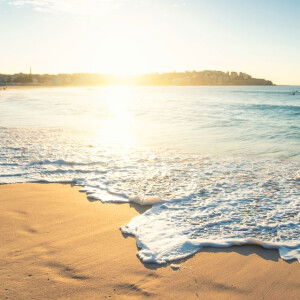 Intan P profile icon