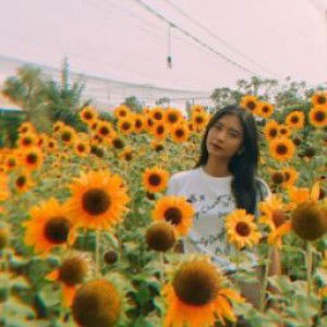 SusiAriffin official profile icon