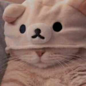 Amini Danish profile icon