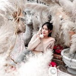 Chatchya Jajar profile icon