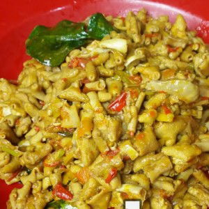 ISNAinie inieISNA profile icon