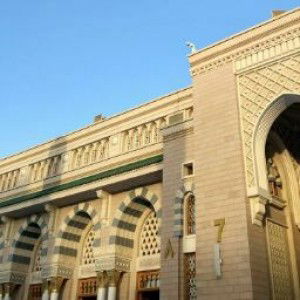 Sarah Fauziyah profile icon