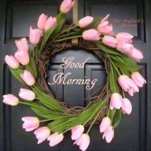 Niken Asisi Meista profile icon