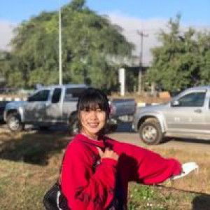 Petch Kerdmolee profile icon