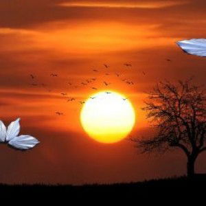 Nur Syamsiyah profile icon