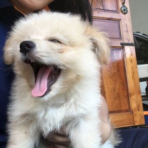 Supatra Jaisuwun profile icon