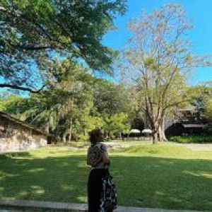 Ming Siriwan profile icon