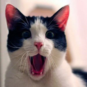 Nad Nadia profile icon