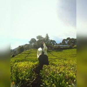 Nayya Waffa profile icon
