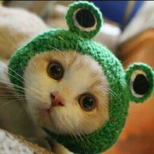 Ummi Azizah profile icon