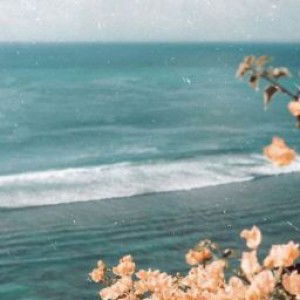 Pingkan Shalsabilla Polii profile icon