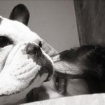 She Auu profile icon