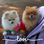 Siriwan Pond Dinar profile icon