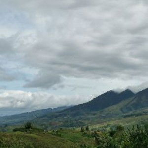 leah ando profile icon