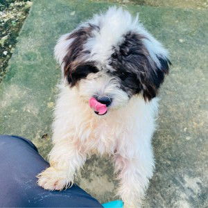 Baby Olive profile icon