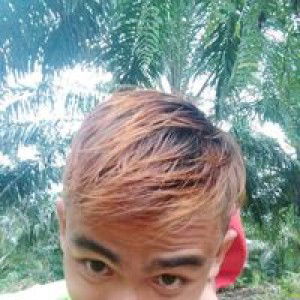 Ridho Illahi profile icon