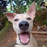 Mamerto Toloza Crys Tie profile icon